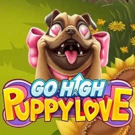 game logo by RubyPlay on love-casino.eu